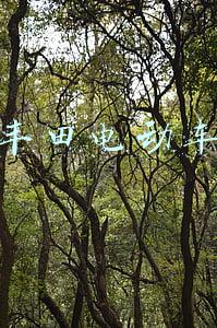 丰田电动车