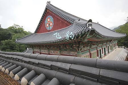 飞豹