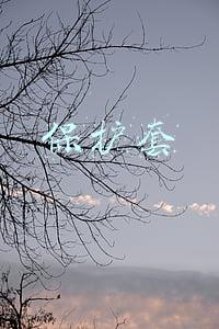 保护套