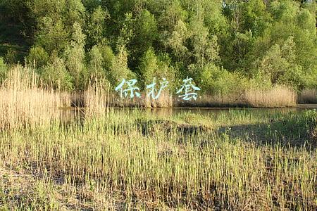 保护套