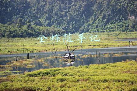 金蝶随手记