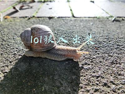 lol狼人出装