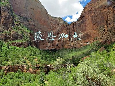 薇恩加点