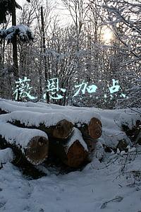 薇恩加点