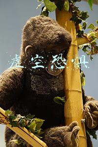 虚空恐惧
