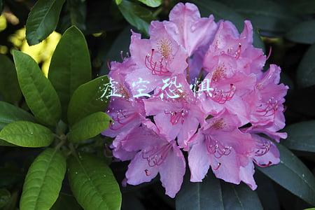 虚空恐惧