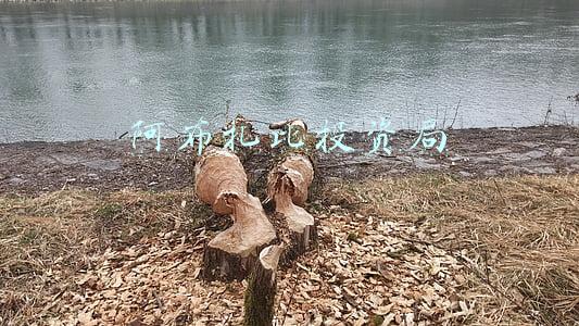 阿布扎比投资局
