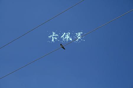 卡佩罗