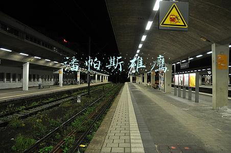 潘帕斯雄鹰