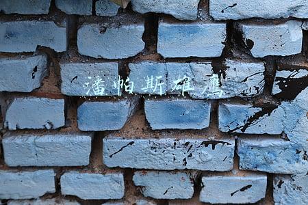 潘帕斯雄鹰