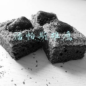 潘帕斯雄鹰