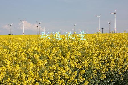 联通流量