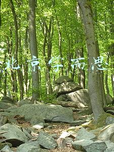 北京学而思培训机构(北京教委点名校外培训机构：学而思等多家教育机构违规招生收费)