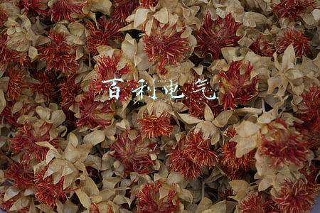 百利电气