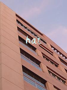hat
