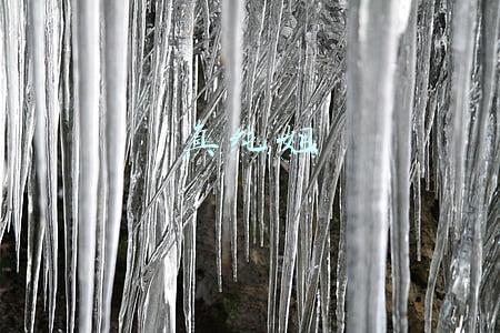 真纯姐