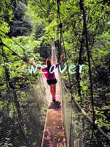 weaver