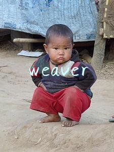 weaver