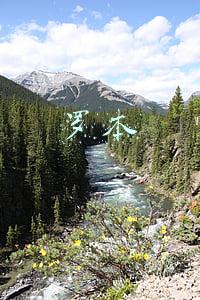 罗本