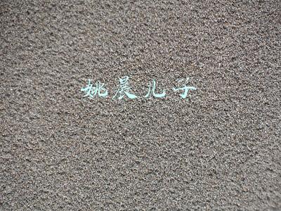 姚晨儿子