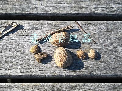 资源管理器快捷键(非常实用的电脑快捷键 喜欢赶紧收藏)