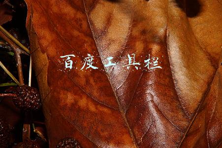 百度工具栏
