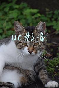 uc影音