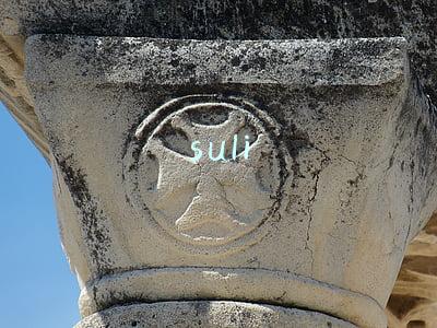 suli