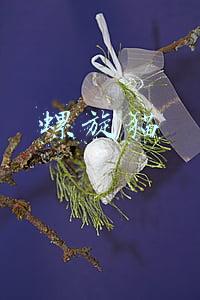 螺旋猫
