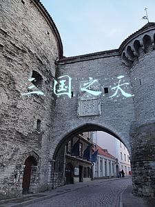 三国之天