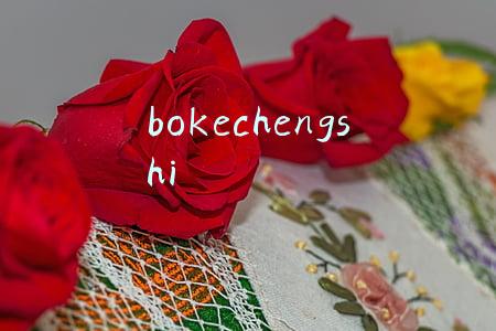bokechengshi