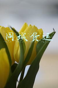 同城货运