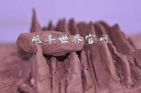 飚车世界官网
