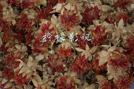柠檬影视 柠檬影视