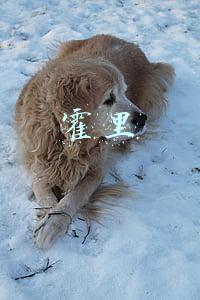 霍里思特智能科技有限公司(36氪首发｜「霍里思特」获1亿元人民币A轮融资，基于X射线+AI算法开发的智能选矿机已落地国内龙头企业)