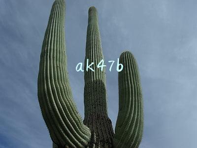 ak47b