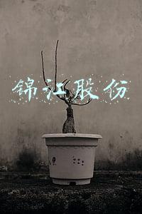 锦江股份有限公司(锦江国际拟吸收合并锦江资本 锦江在线实控人仍为上海国资委)