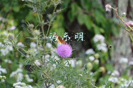 冯东明