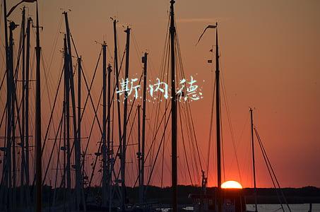 斯内德