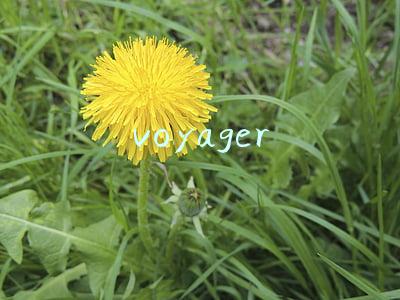 voyager