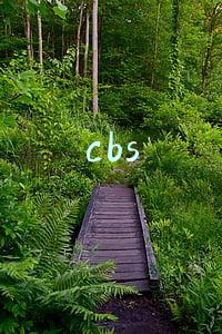 cbs