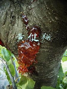 黄健翔 黄健翔