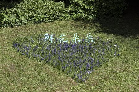 鲜花朵朵