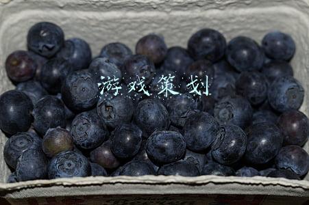 游戏策划