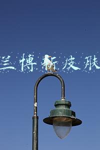 兰博新皮肤