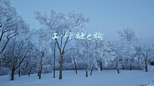 工行融e购