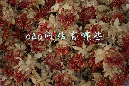 o2o电商网站有哪些(国内主要的o2o电商平台有哪些？)
