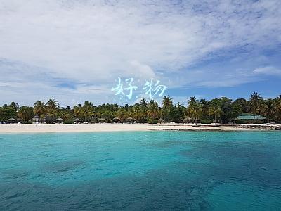 好物