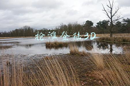 抢滩登陆3D