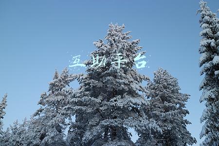 互助平台
